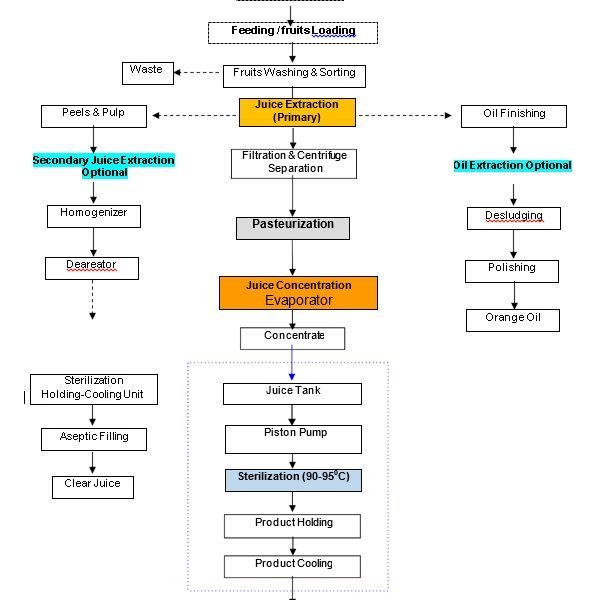 citrus-fruit-flowchart